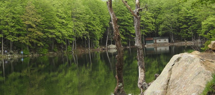 flyAnglers_slider3